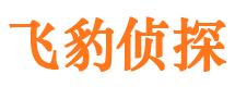 朝阳区市侦探调查公司